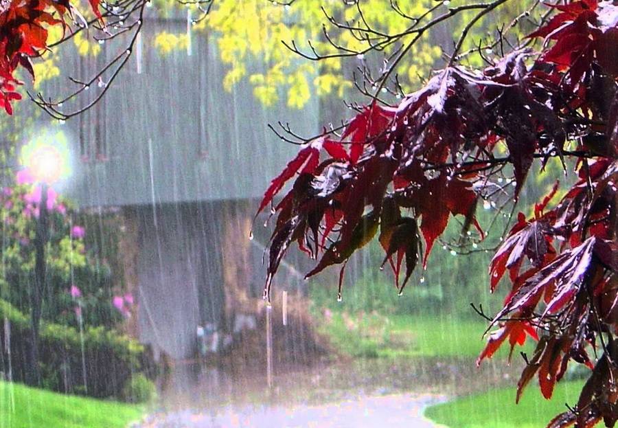 Лето. Эпилог