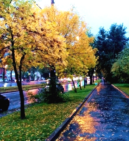 Меланхолия