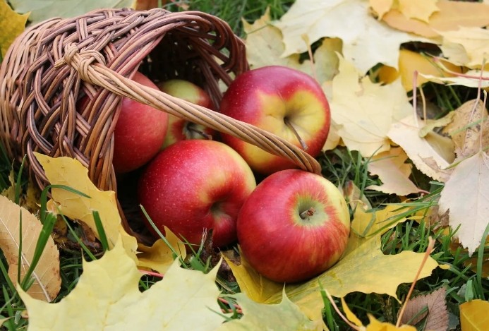 Сыпем, сыпем комплименты