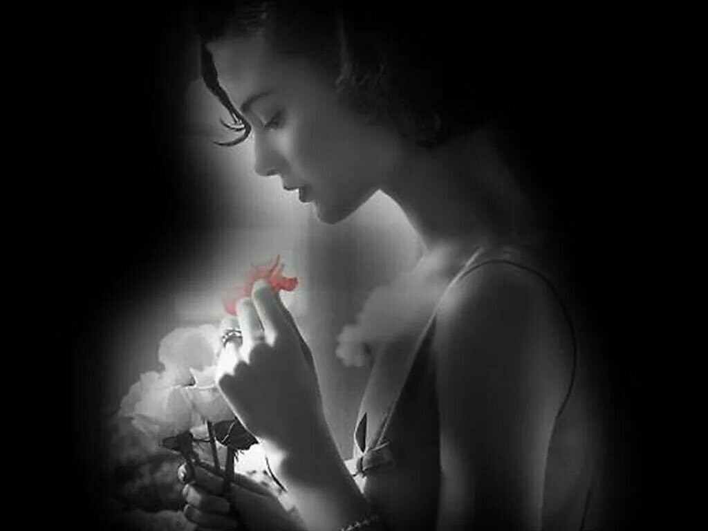 Новые строки