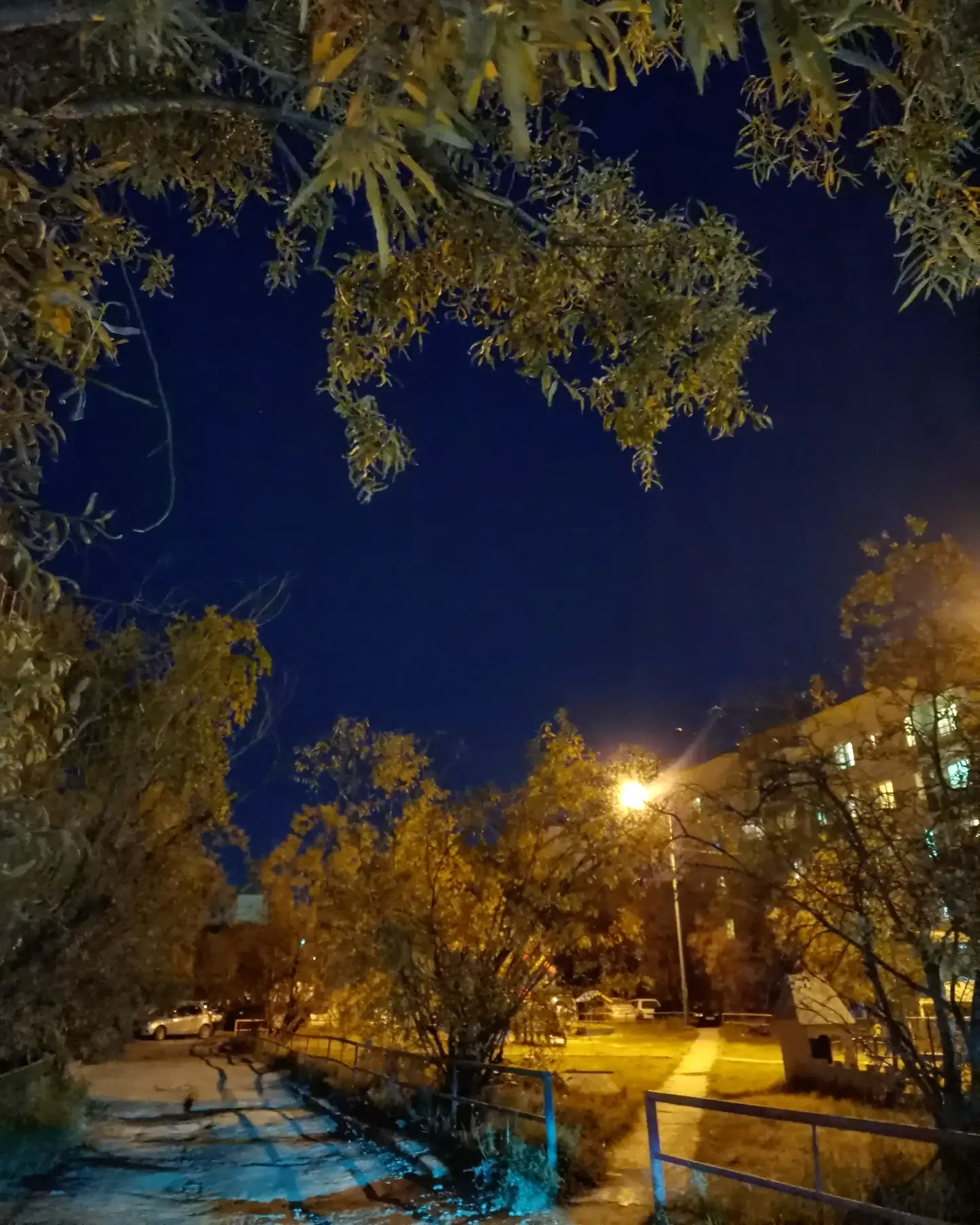 Песня любви бесконечная