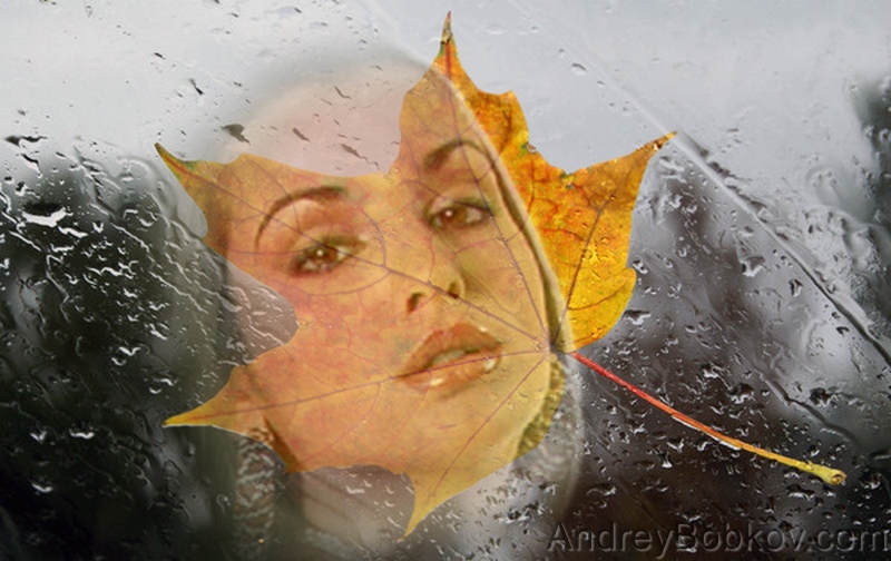 Имя твоё в шорохе листьев