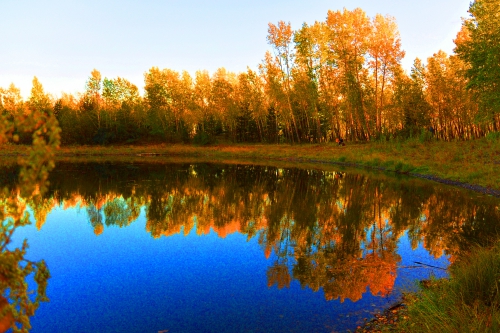 Капризною красавицею Осень...