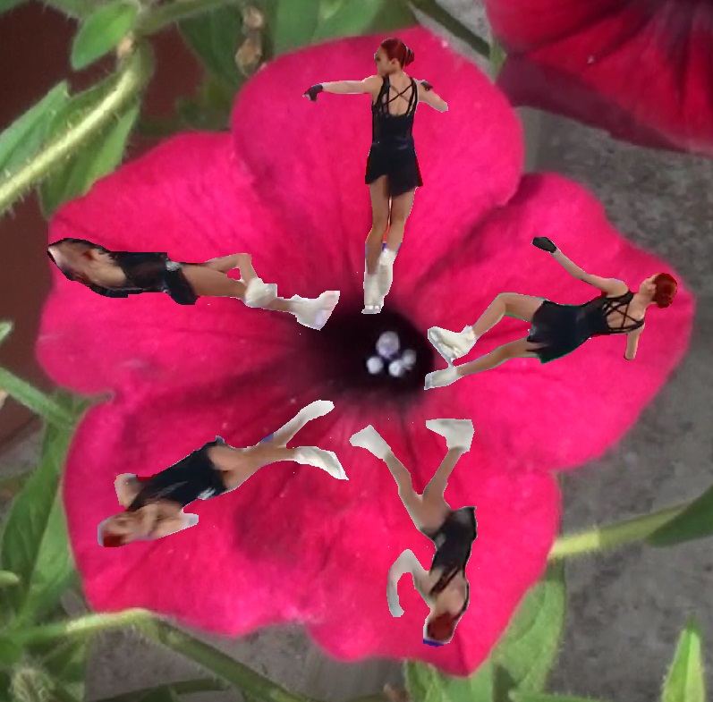 Пять четверных! Пять нежных лепестков