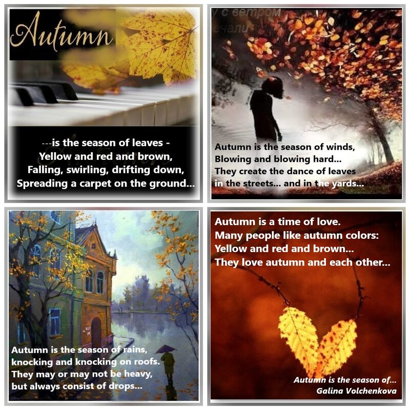 «осенний вечер» тютячева. музыкальные произведения про осень. стихи про осень для детей. чувства осенью. эстетические чувства осенние.