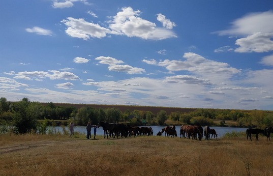 Провожая лето