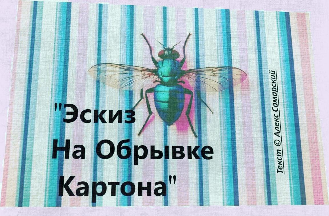 Эскиз На Обрывке Картона