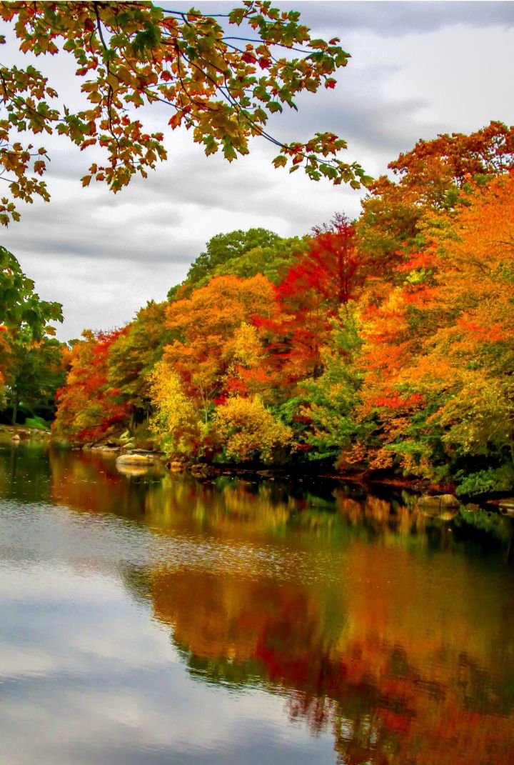 Шепчет мне мой голос