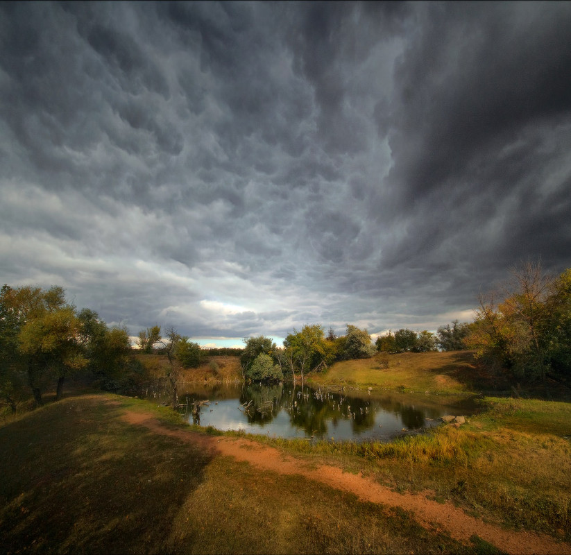 Взмахнула осень кистью
