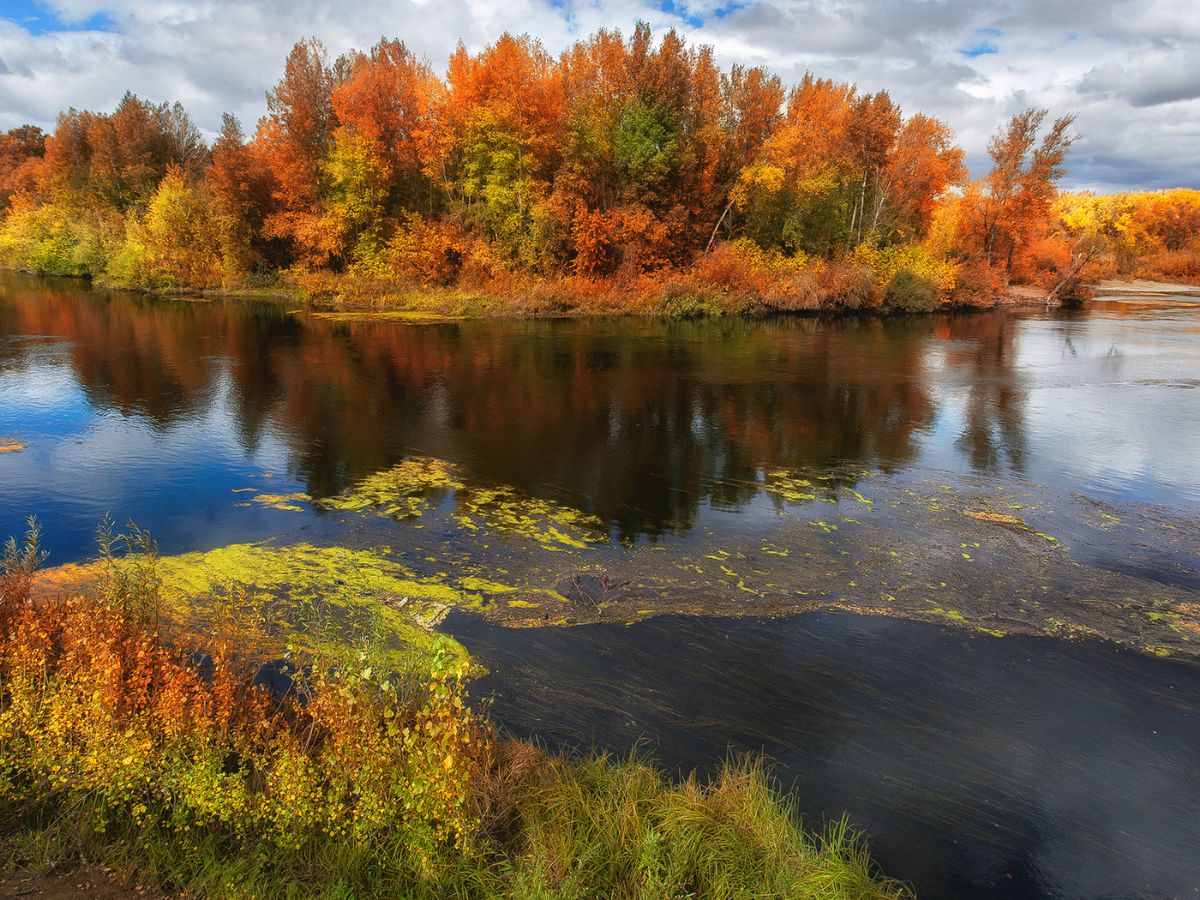 Посижу у реки