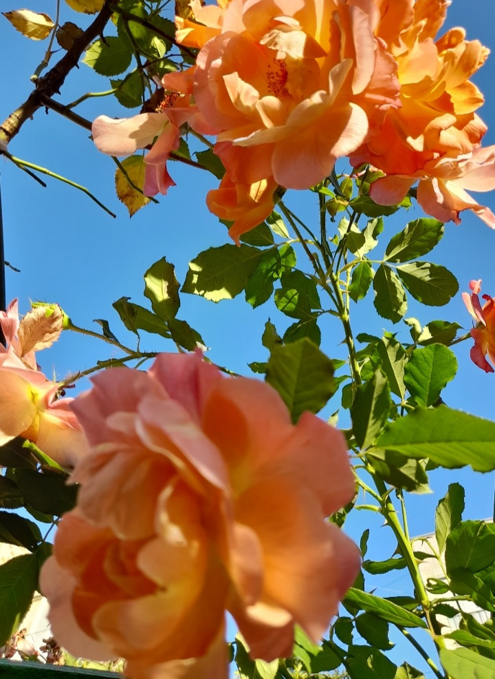 То был сентябрь...