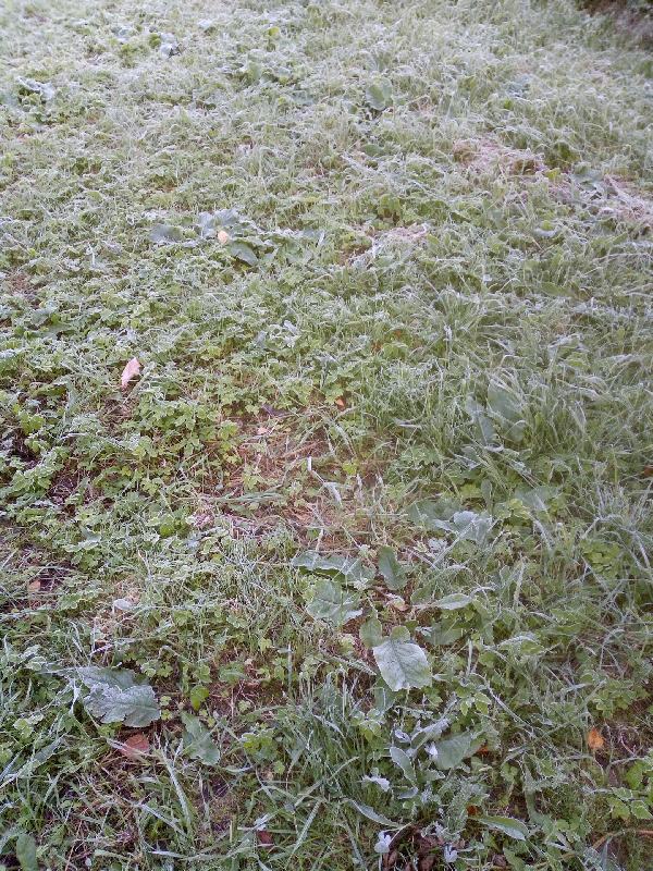 Зарисовка 81