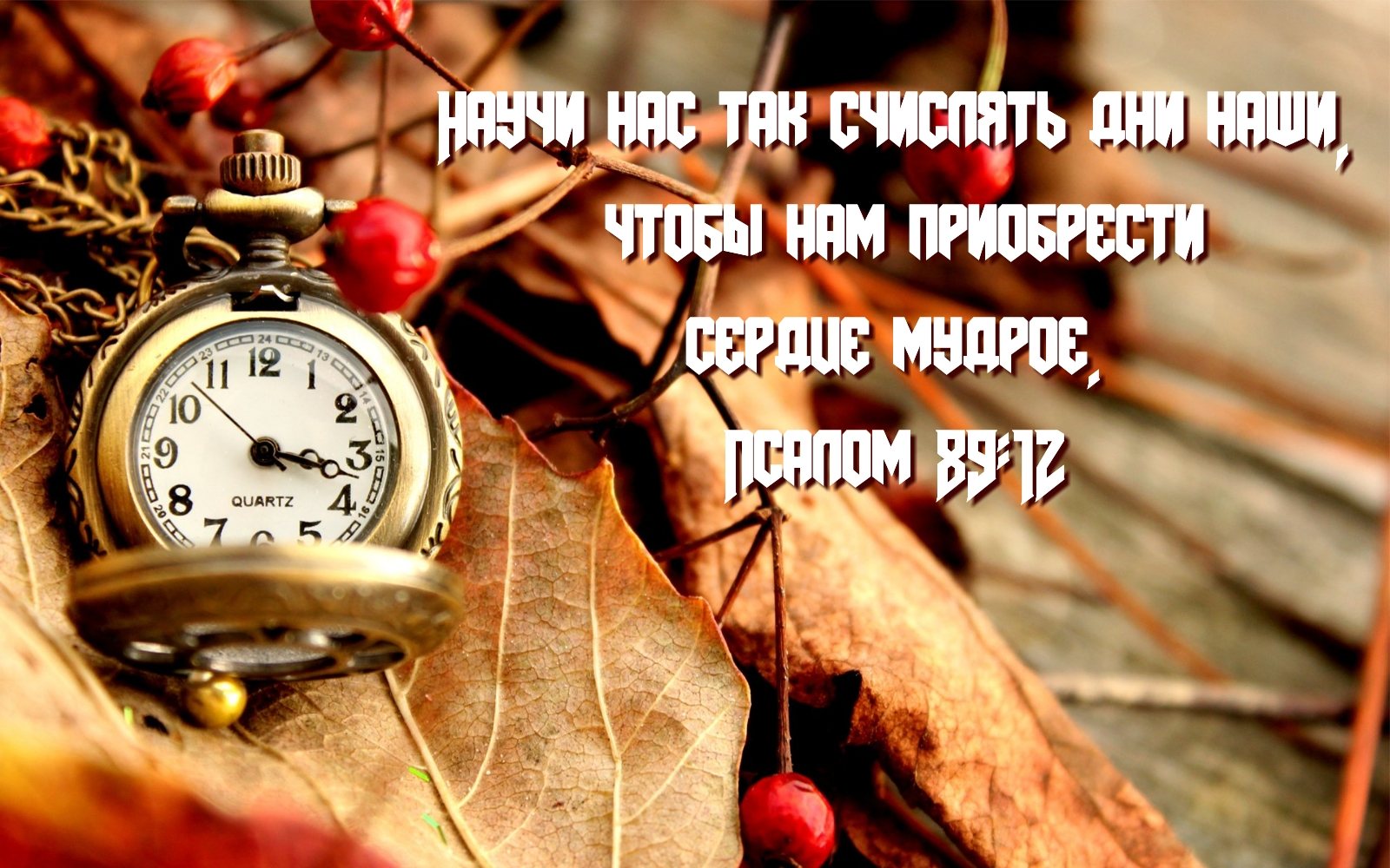 Земное спешит к неземному порогу