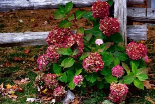 Что осень принесёт?