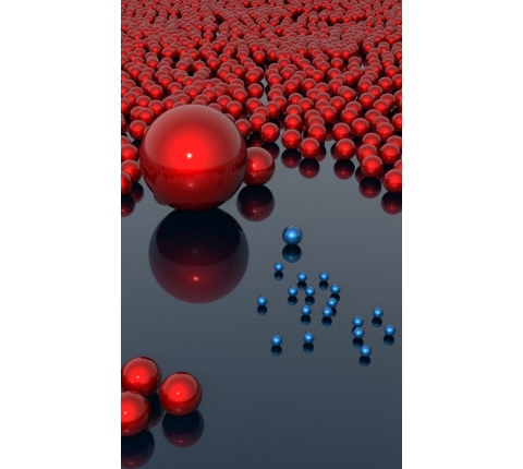 Где живут обиды?..