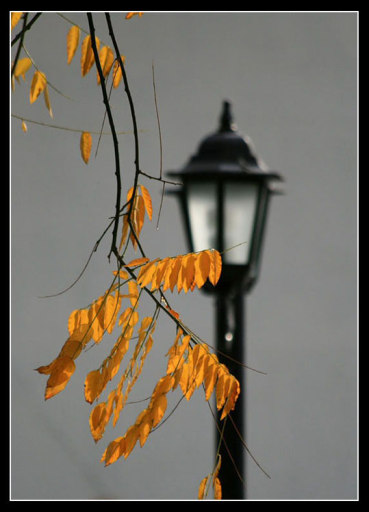 Дождь в клубок