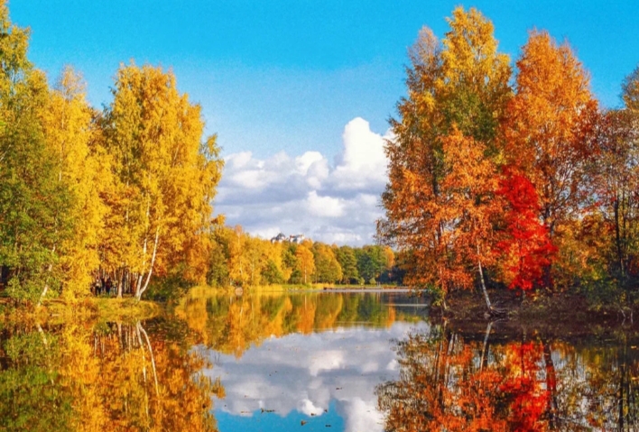 Заглянуло в гости бабье лето