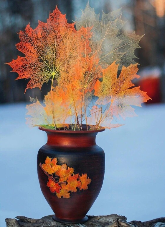 Счастливой осени