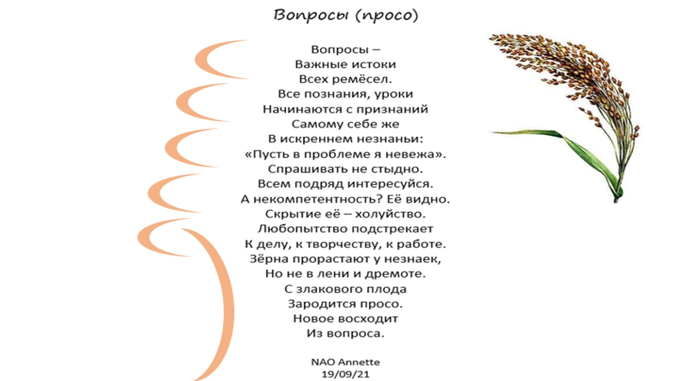 5 вопросов по стихотворению. Просо стебель. Загадка про просо. Стихи и загадки про просо. Просо ударение.