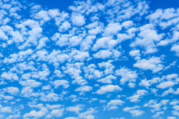 Ситцевое небо в соавторстве с В. Крыловым