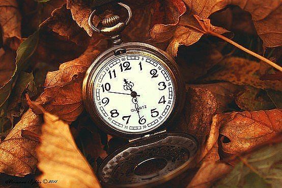 Тишина! Молчит будильник...