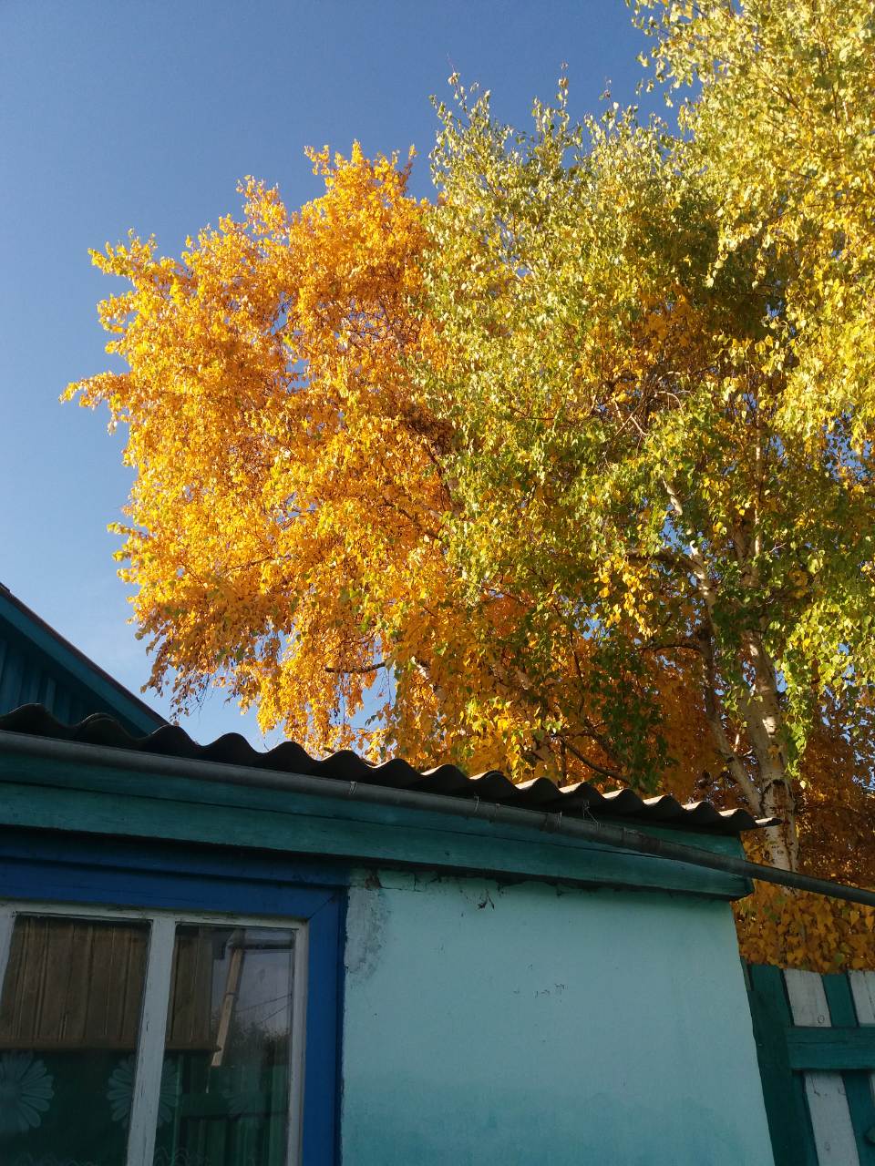 Там вокруг леса и горы