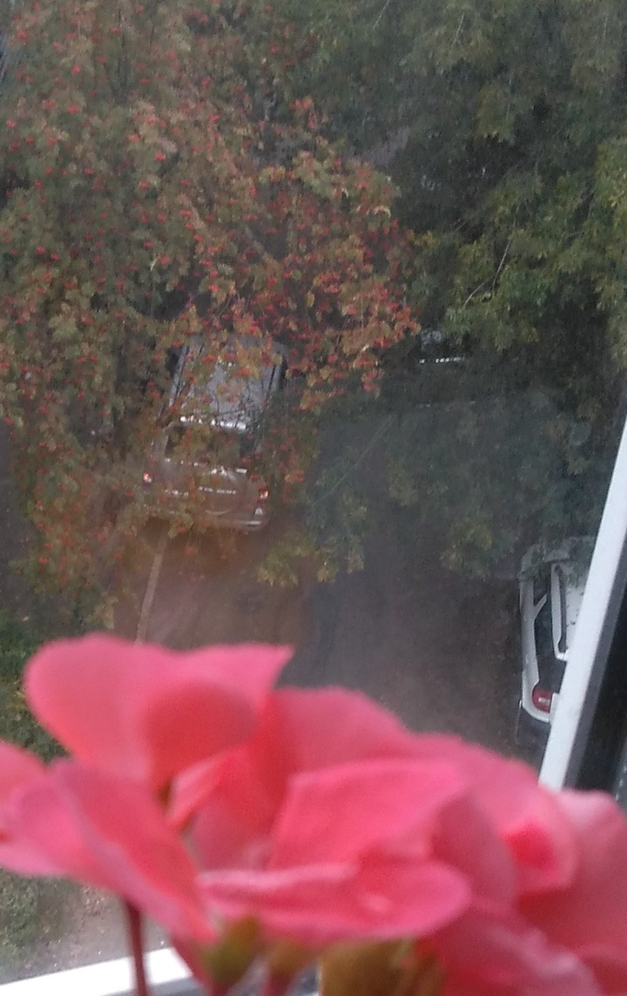 Осенняя картинка