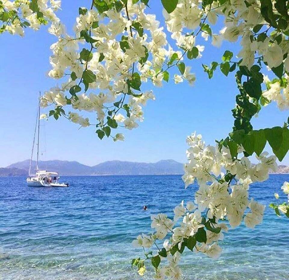 Мне снится море...