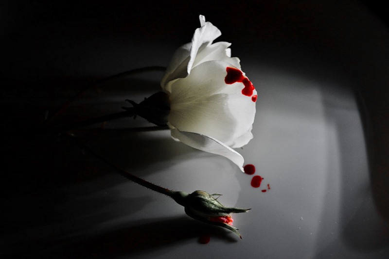 Жизненная коллизия