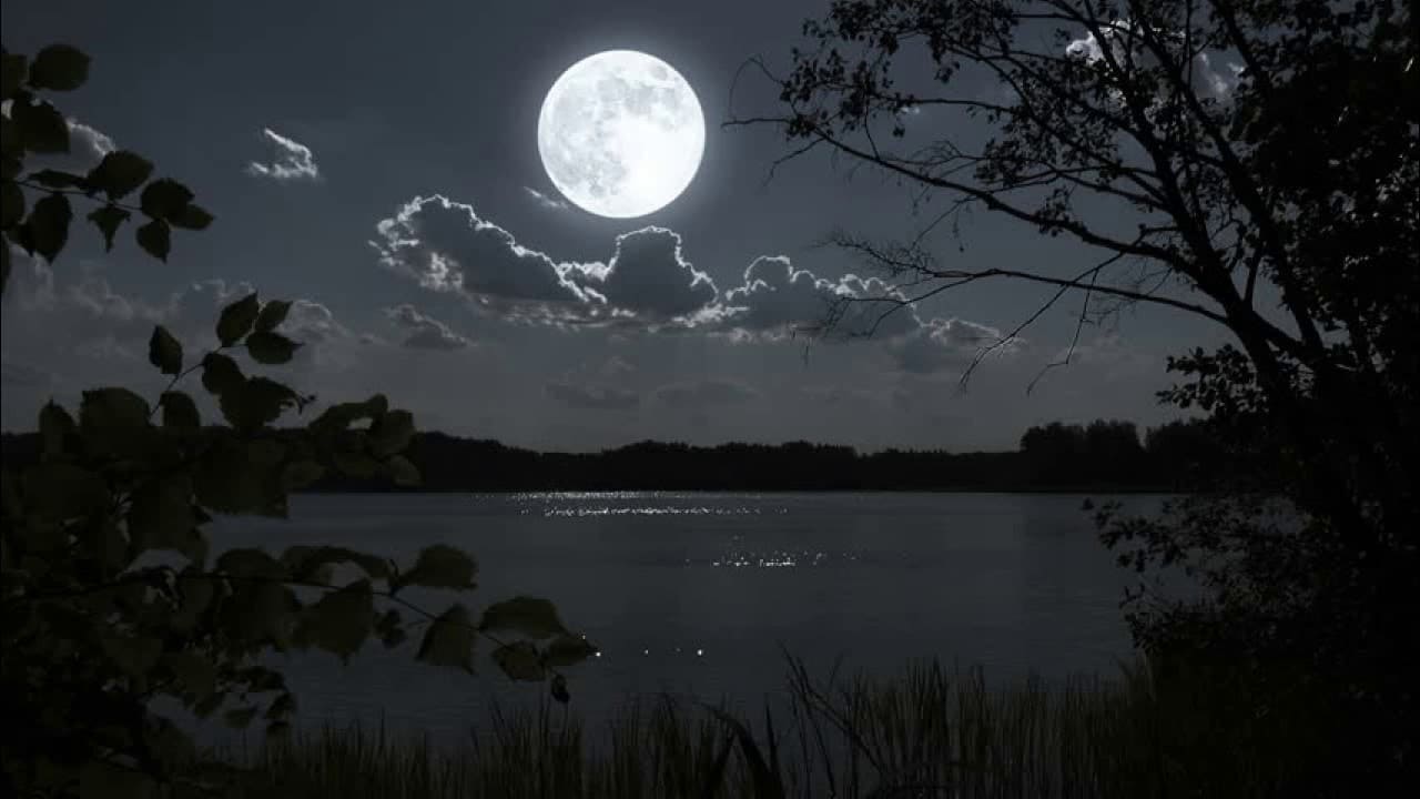 Тихого свет луны. Озеро в лунном свете. Лунная ночь. Летняя ночь. Ночное озеро.