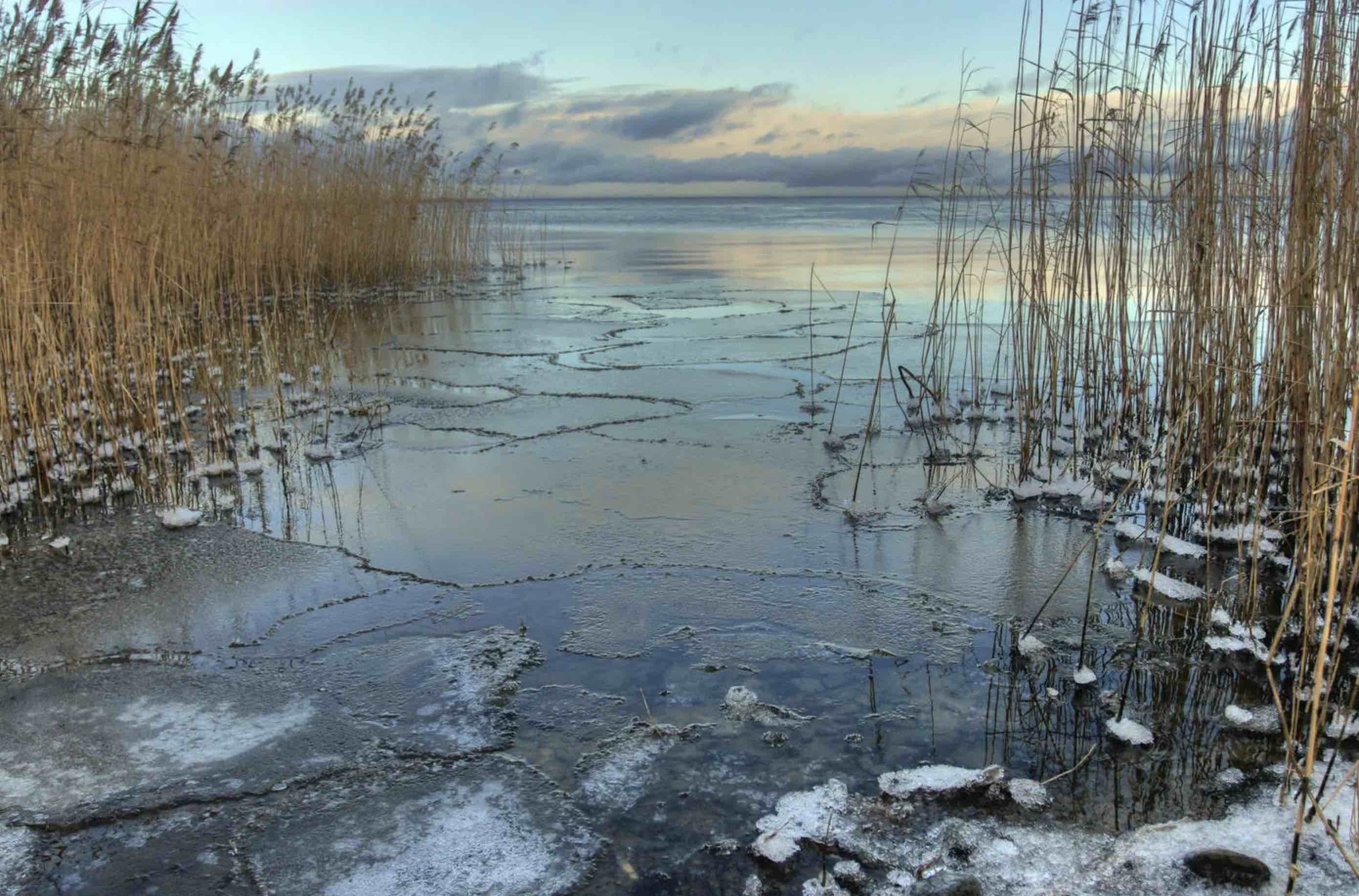 Вода в реке замерзла. Первый лед. Замерзший водоем. Ледостав на Озерах. Водоем покрытый льдом.