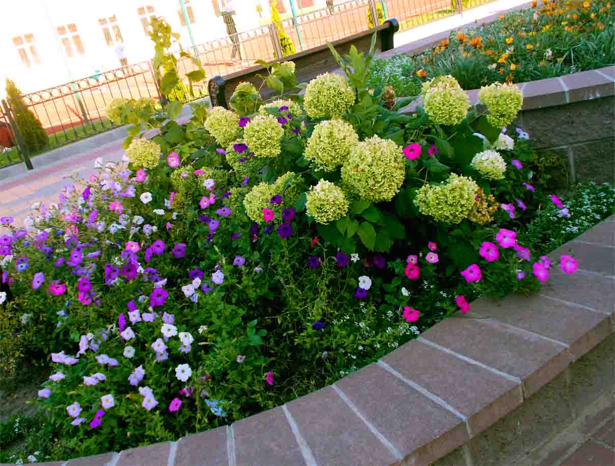 А днi бегуць в аднi оно места