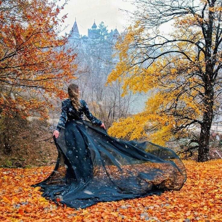 Осень сожгла мосты