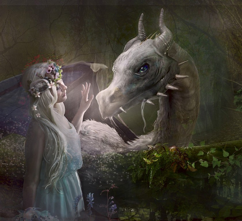 Принцесса и дракон. Принцесса и дракон фэнтези. Девочка и дракон. Принцесса и дракоша. Шутки про драконов.