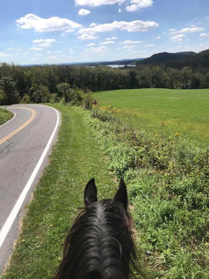 Меж лошадиных ушей...