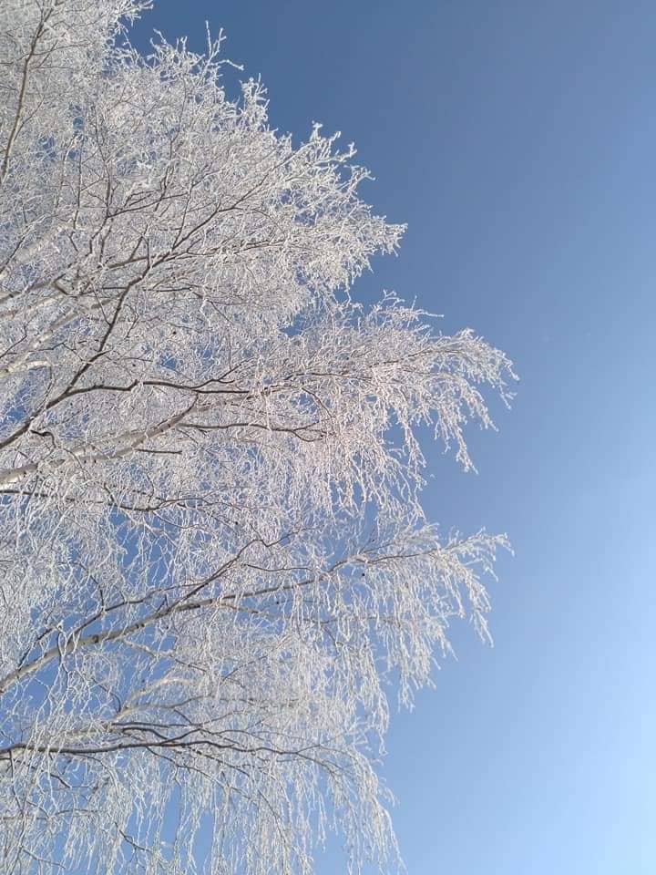 А там в родном краю