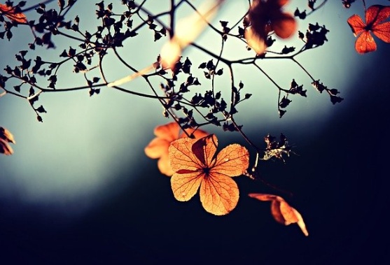 Постаревшая весна