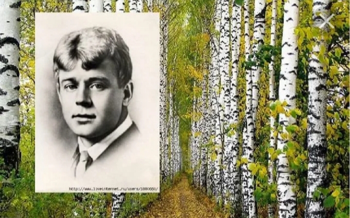 Есенинские поля тверь проект