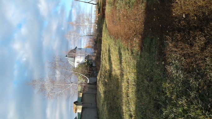 Отданье осени