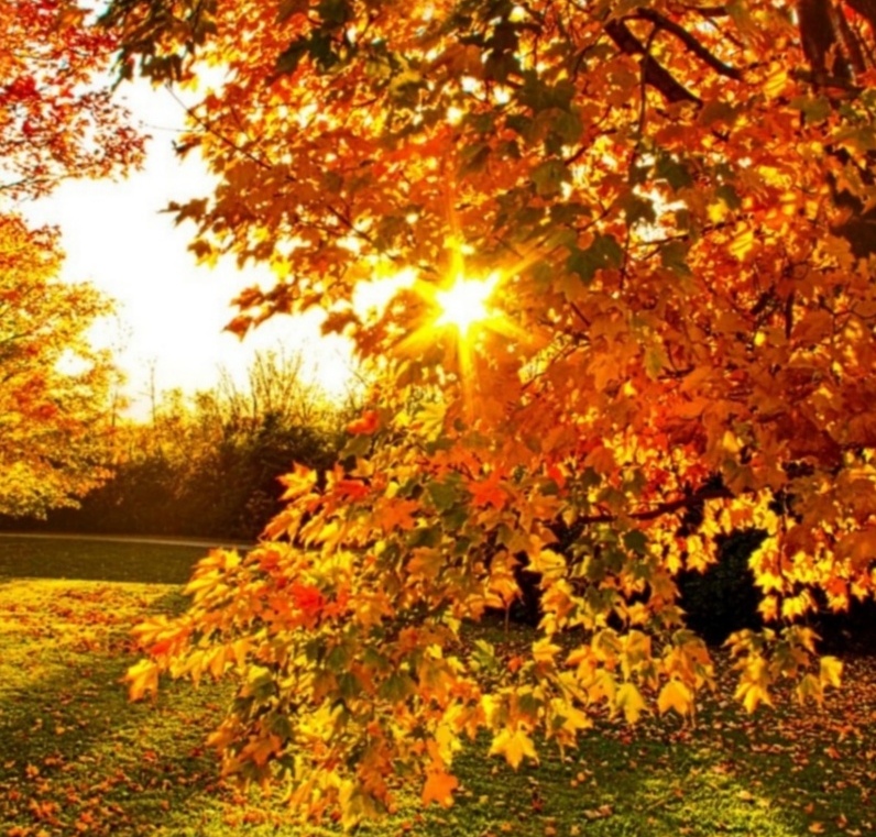 Диалог, которого не было. Осень