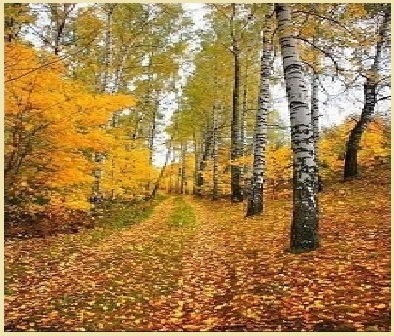 Осенние мотивы!