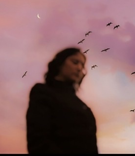 Люблю не шумные компания