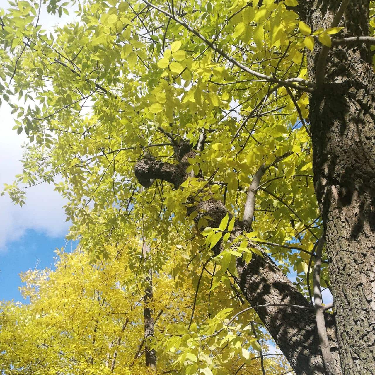 По приходу осенней поры...