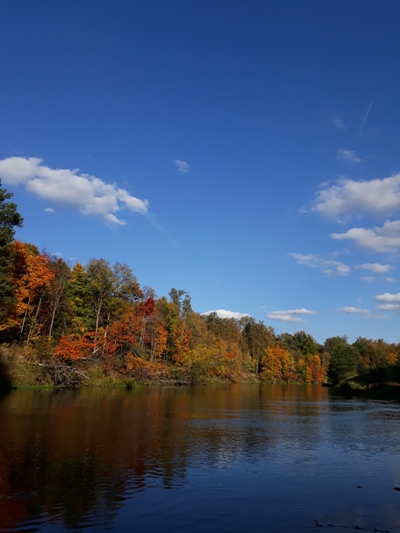 Осень - мудрость лета...