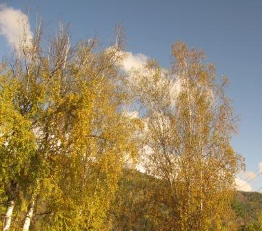 Чем нас чарует осень