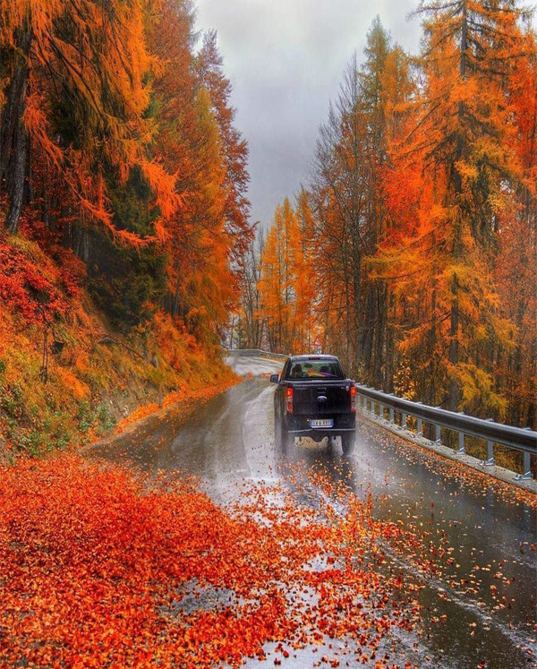 О красоте её слагались песни...