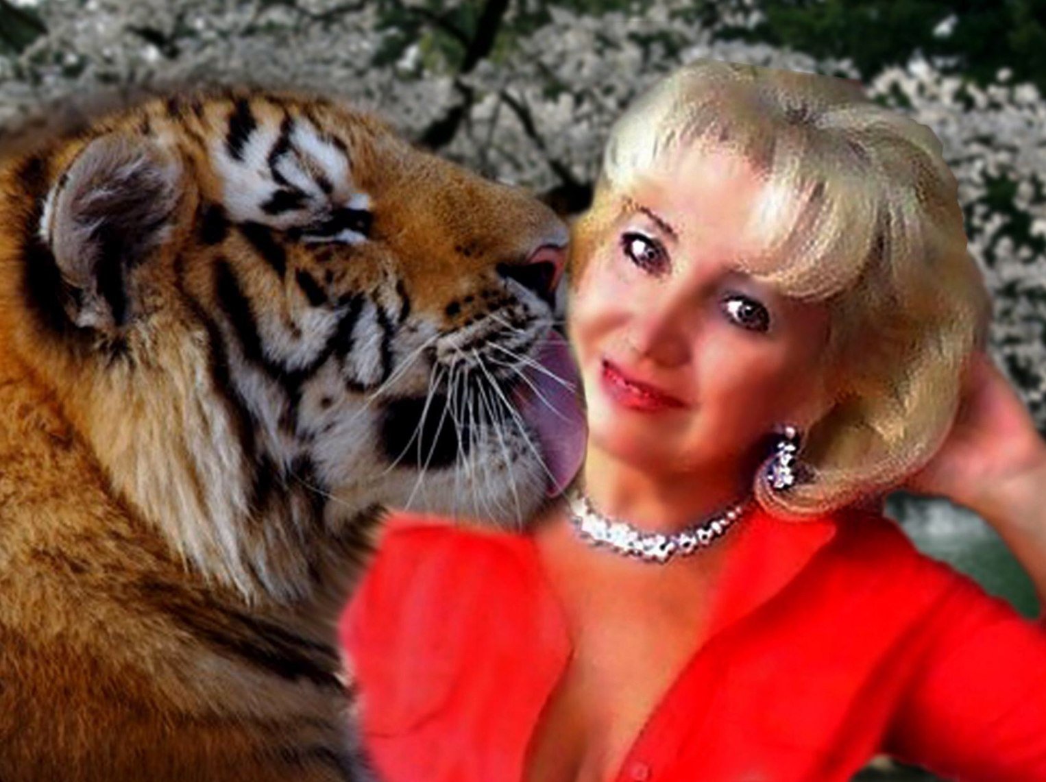 Очаровательная львица. Посвящение С. Т. 12962