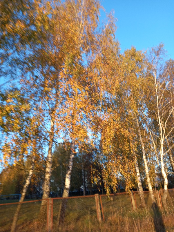 Осень