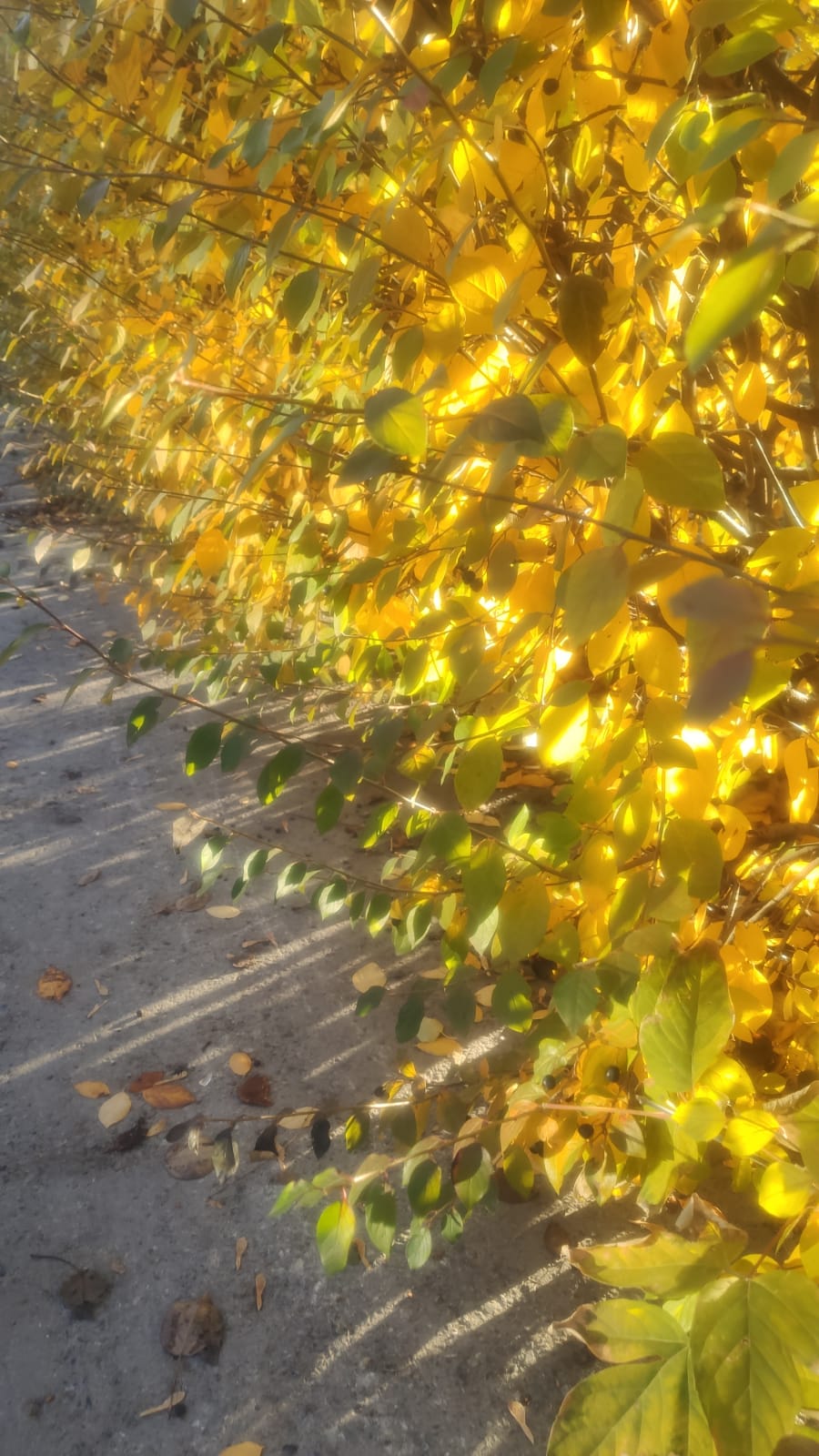 Сентябрь в Крыму