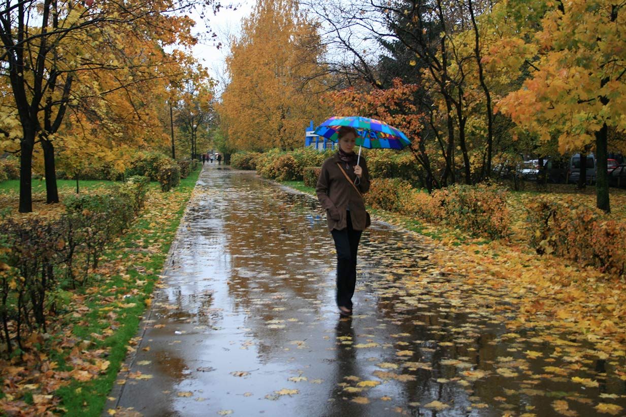Гулял октябрь. Дождливая осень. Осенний дождливый парк. Осень парк дождь. Осень в городе.